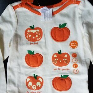 NWT Gymboree Fall Pumpkin Tutu & T-Shirt‎ Sz 2T